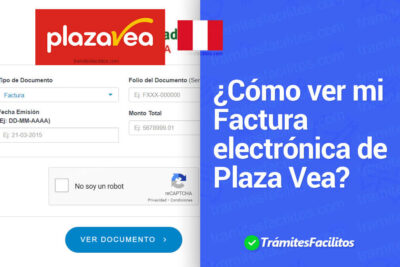 ver descargar imprimir factura electrónica plaza vea Perú